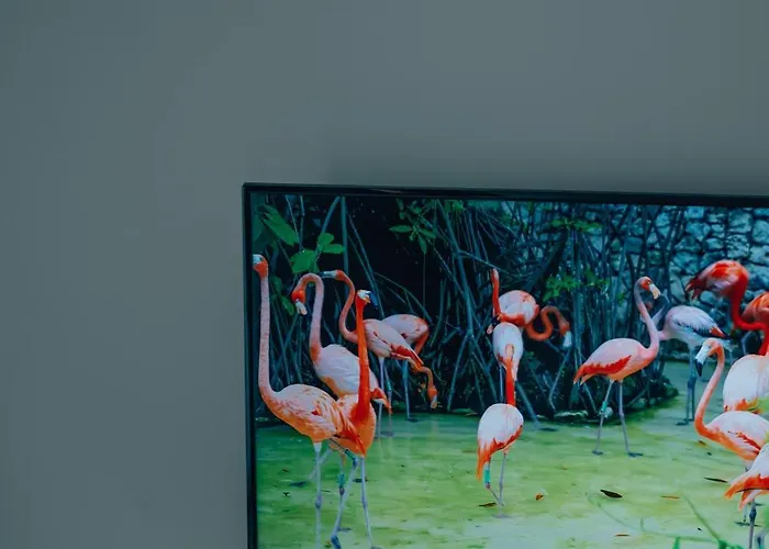 Designer Eden Apartment *