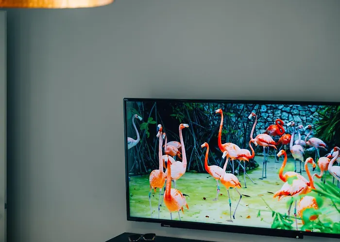 Apartment Designer Eden *